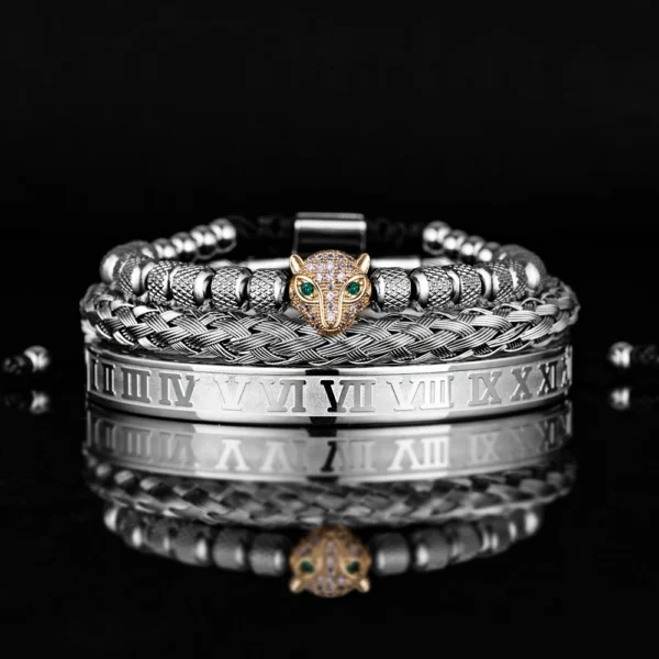 Ensemble 3pcs de Bangles en Acier Inoxydable, Style Classique et Luxueux