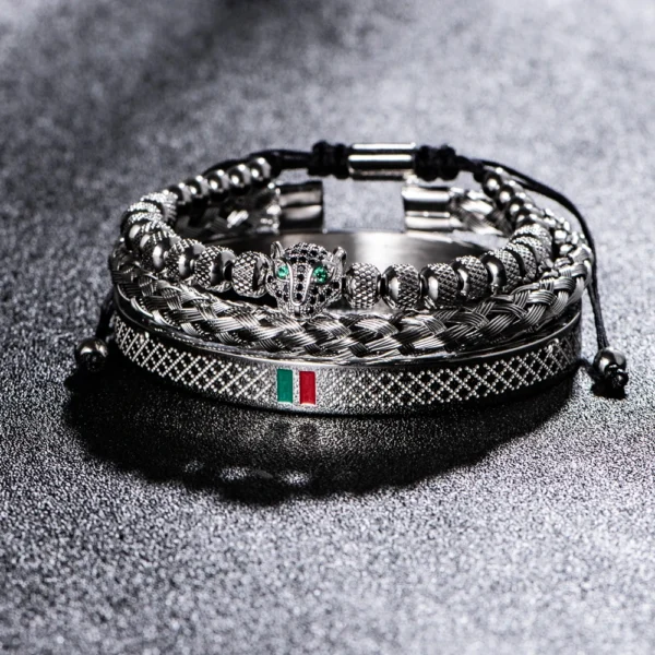 S2dce97ac4f5f469ca7631ee6a5c308a4U.webp Bracelet Fait Main avec Tressage et Tête de Léopard Pavée de CZ, en Émail Vert et Rouge