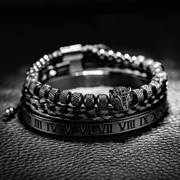 S5314f42e6a8b4a0191a7e766a82c55a2V.webp Ensemble 3pcs de Bangles en Acier Inoxydable, Style Classique et Luxueux
