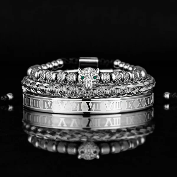 S6201cd300abd4ba6881f0334036e5242m.webp Ensemble 3pcs de Bangles en Acier Inoxydable, Style Classique et Luxueux