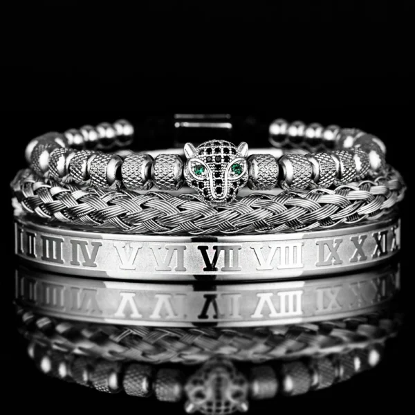 S652a2efb2eb545e2b1e373a76dca1ffcI.webp Ensemble 3pcs de Bangles en Acier Inoxydable, Style Classique et Luxueux