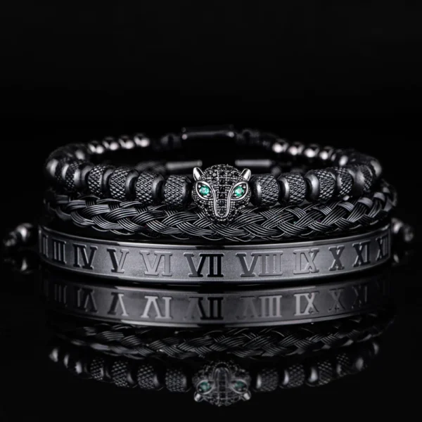 Ensemble 3pcs de Bangles en Acier Inoxydable, Style Classique et Luxueux