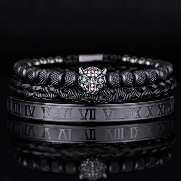 Ensemble 3pcs de Bangles en Acier Inoxydable, Style Classique et Luxueux