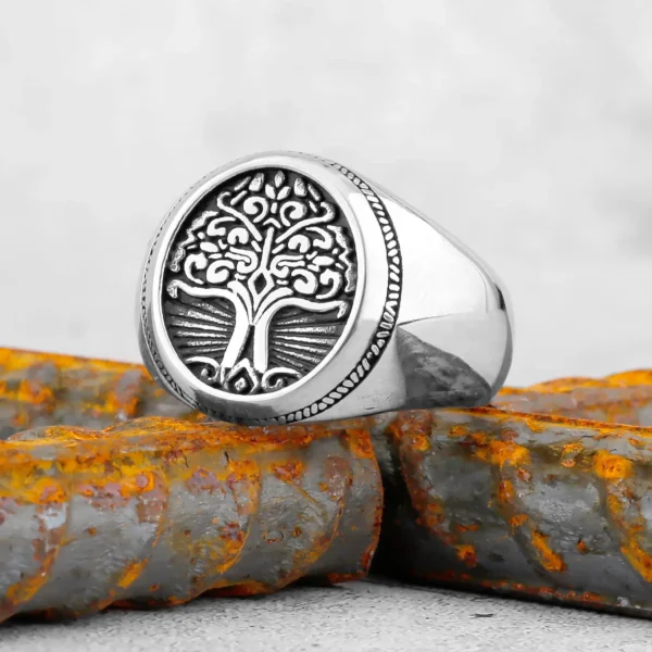 Se01c10bf97094d7294cc78f944c9eefbu.webp Bague Viking Arbre de Vie et Boussole en Acier Inoxydable