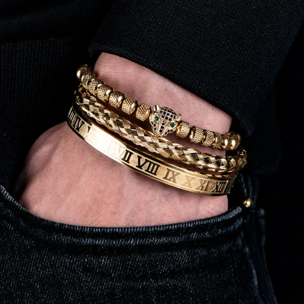 Ensemble 3pcs de Bangles en Acier Inoxydable, Style Classique et Luxueux