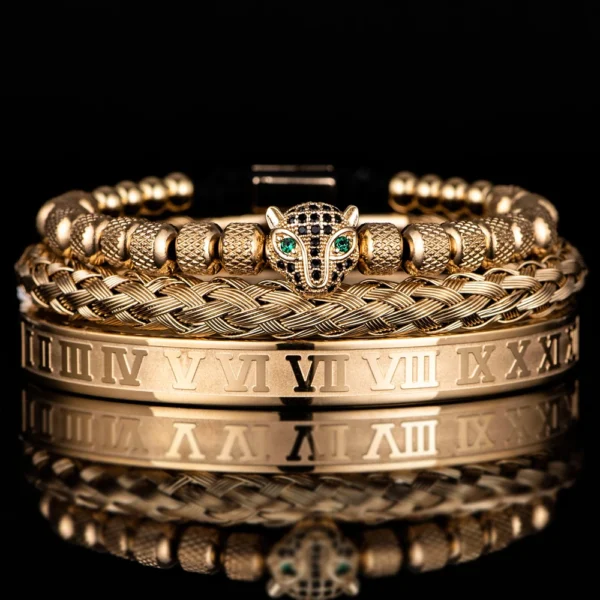 Sf950dc30d5d242cbb4d04761d4a356559.webp Ensemble 3pcs de Bangles en Acier Inoxydable, Style Classique et Luxueux