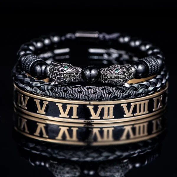 S81e74cf003e6463cb4487164dc2b83c7Z-1.webp Luxury Set Bracelets Men Double Leopard head Handmade Enamel Roman Numeral Bangles Rope Buckle Stone Beads Jewelry Dropshipping