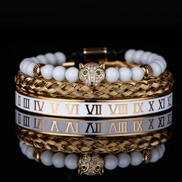 Luxury Set Crown Charm Gold Color Skull Bracelet Stainless Steel Men Black Enamel Roman Number Bangles Europe Couple Jewelry