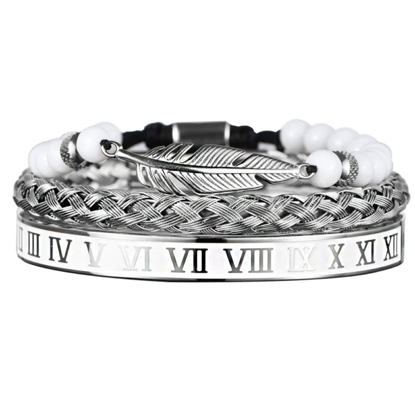 Luxury Set Crown Charm Gold Color Skull Bracelet Stainless Steel Men Black Enamel Roman Number Bangles Europe Couple Jewelry